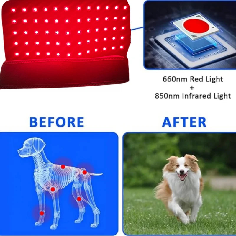 Veterinary Red Light Therapy Mat for Pain Relief in Pets