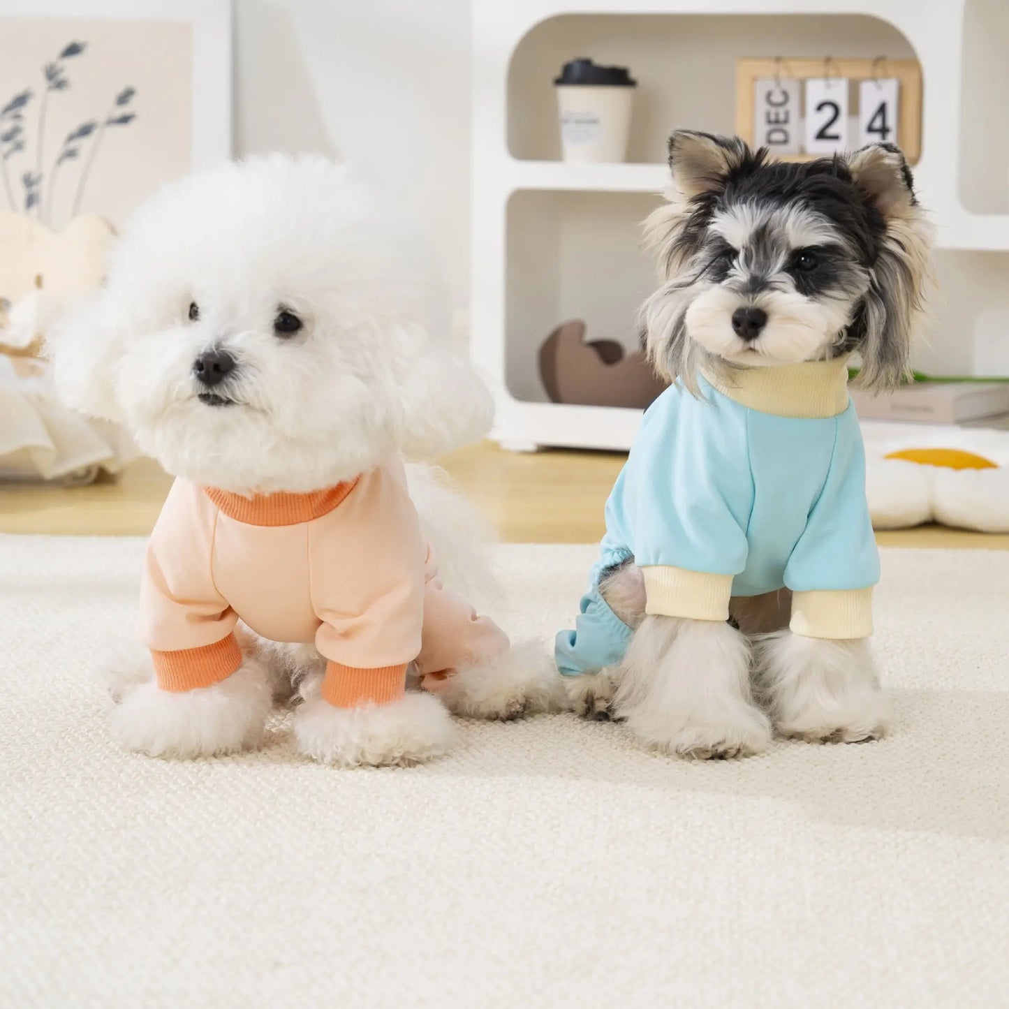 Pet clothing outdoor  dog four-legged outfit spring and summer new dog clothes cat spring and summer clothes for sun protection