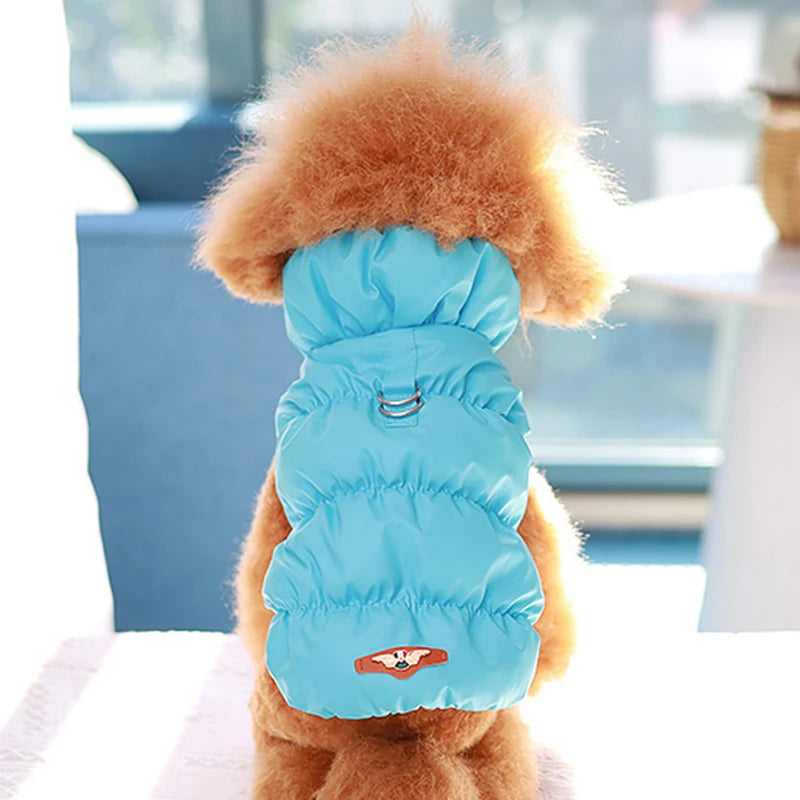 Chaqueta de plumón naranja cálido para gato con hebilla de tracción | Elegante abrigo para mascotas