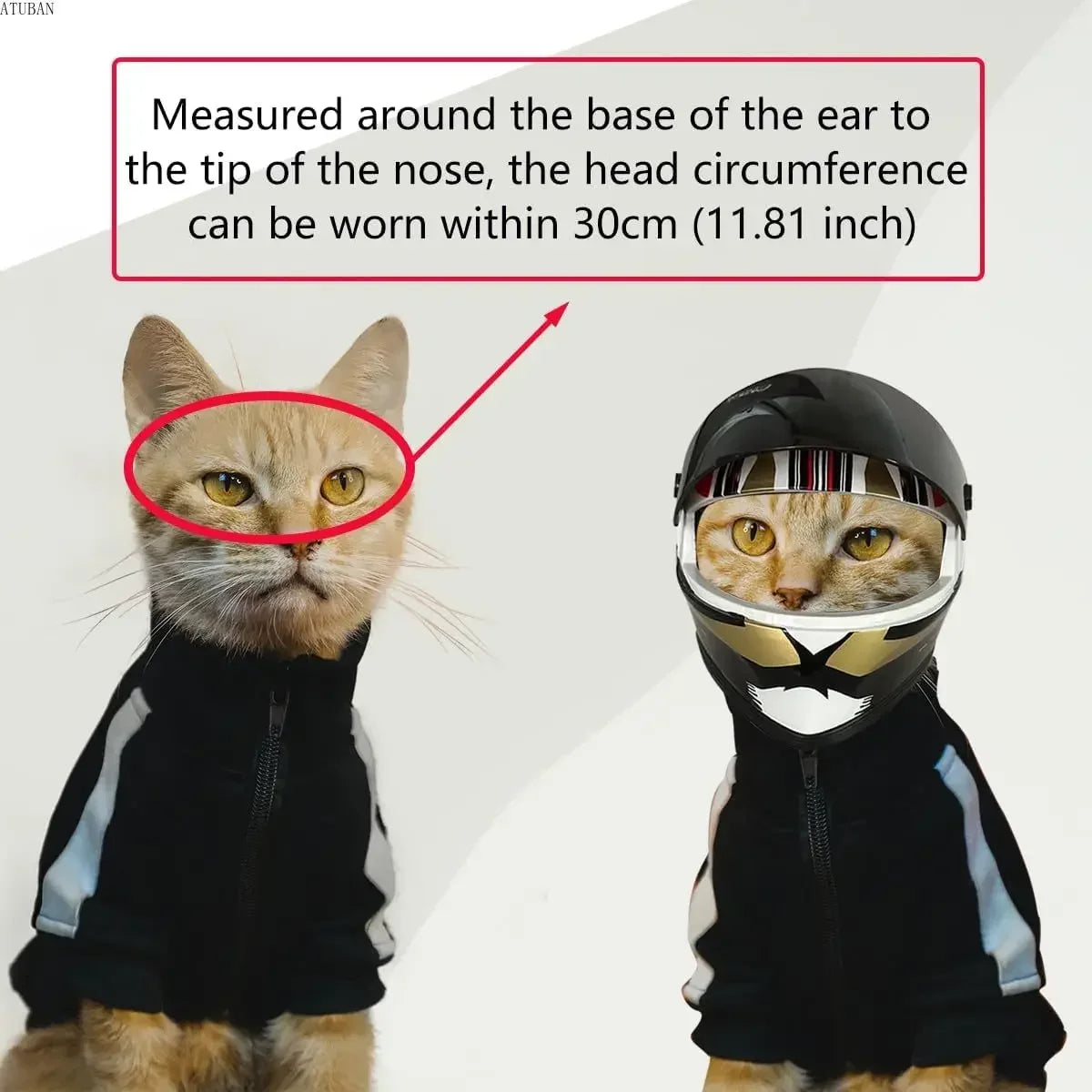 Pet Helmets for Dogs & Cats | Safe Outdoor Headgear Accessories