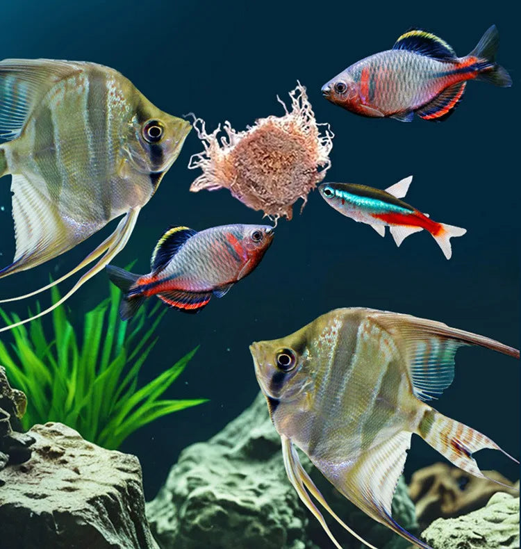 Freeze-Dried Blood Worms for Tropical Fish & Axolotls
