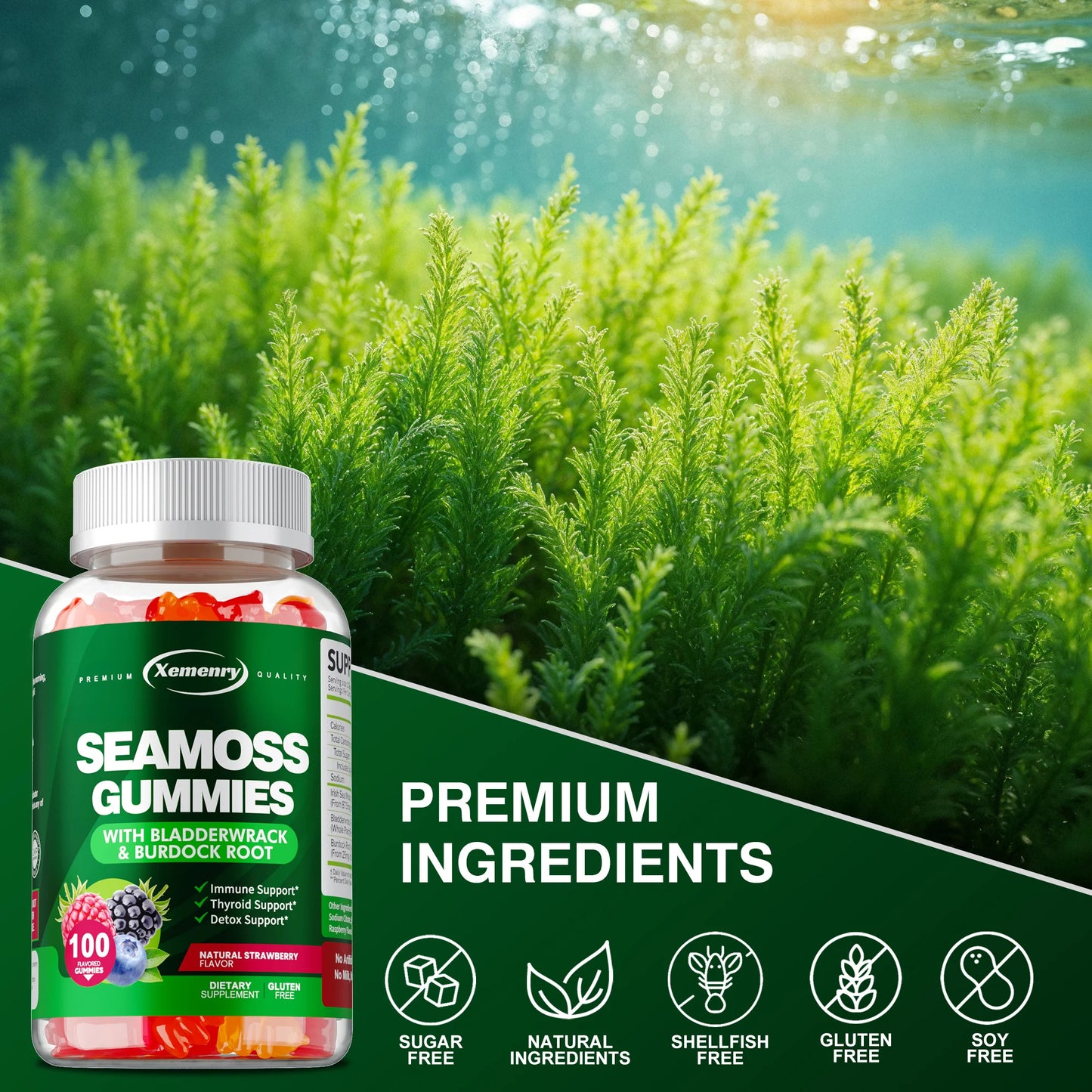 Sea Moss Gummies with Burdock Root & Bladderwrack | 100 Count