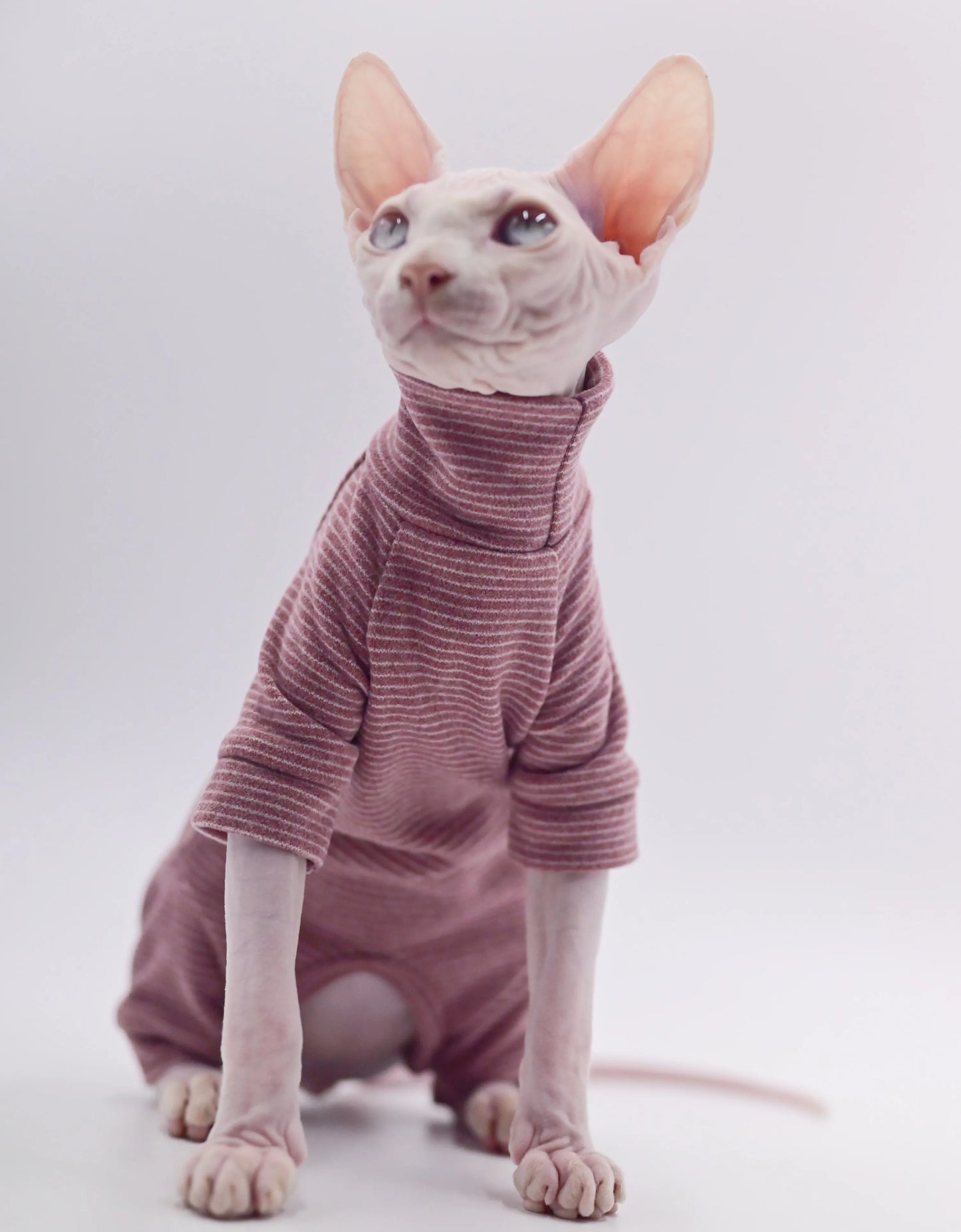 Sudadera con capucha cálida y suave para gatos sin pelo | Ropa acogedora para otoño-invierno