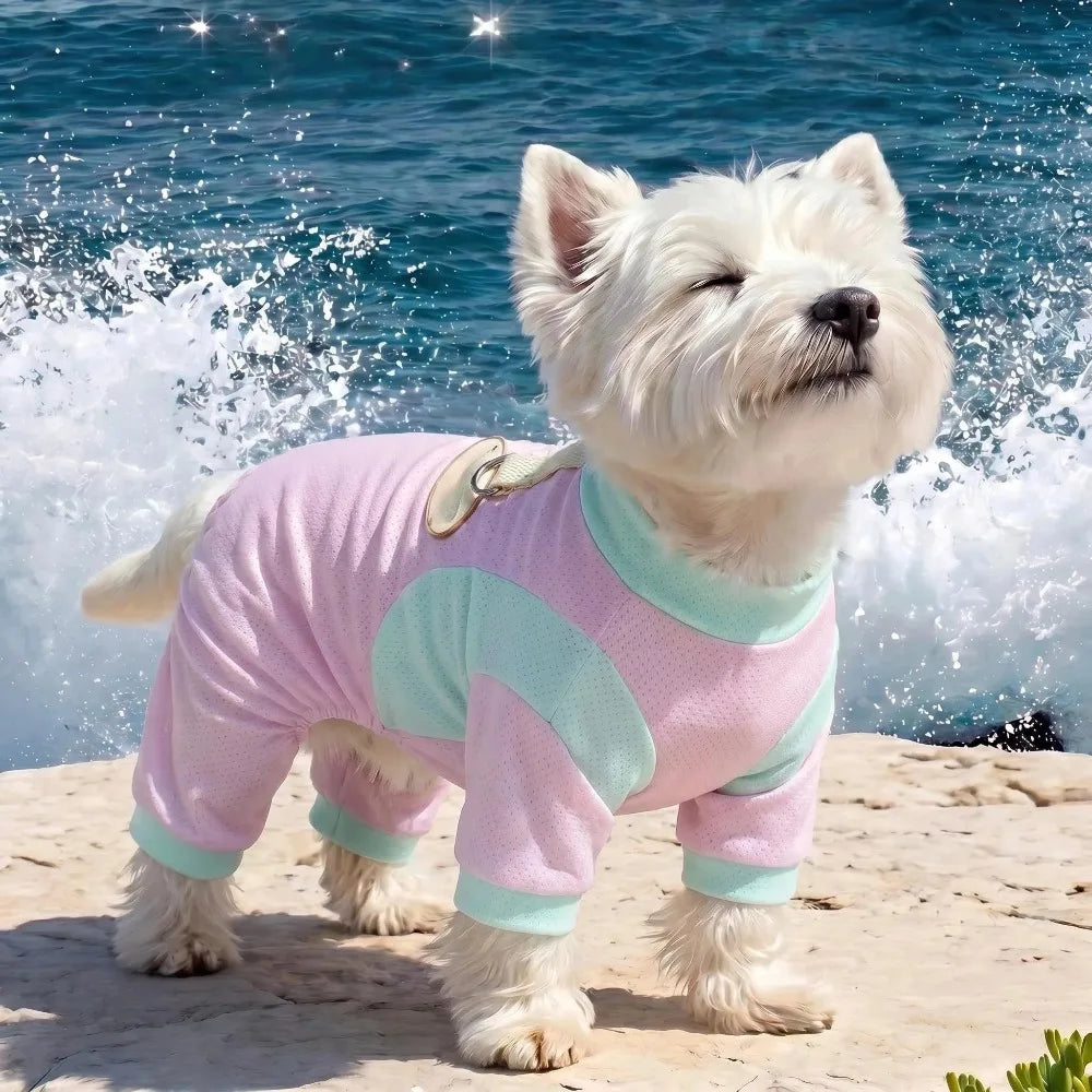 Summer Dog Cooling Jumpsuit | Breathable Quick-Drying Pet Vest