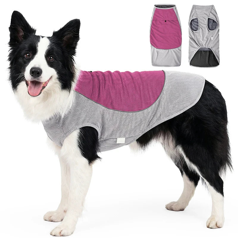 Pet Summer Cooling Vest | Breathable Heat Relief for Dogs
