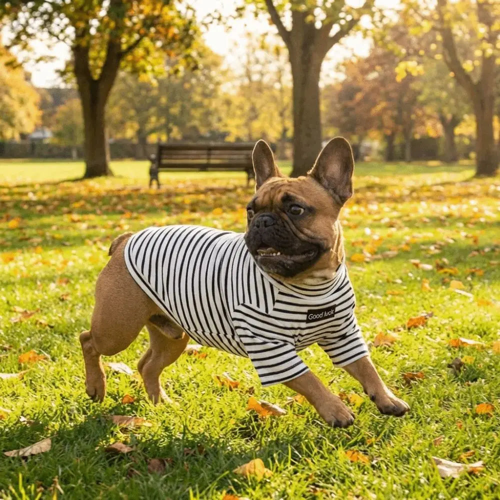 Thermal Dog Sweater | Soft and Warm Striped Pet Clothing