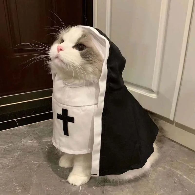 Disfraz Divertido de Gato Monja para Perros Pequeños | Lindo Atuendo para Mascotas