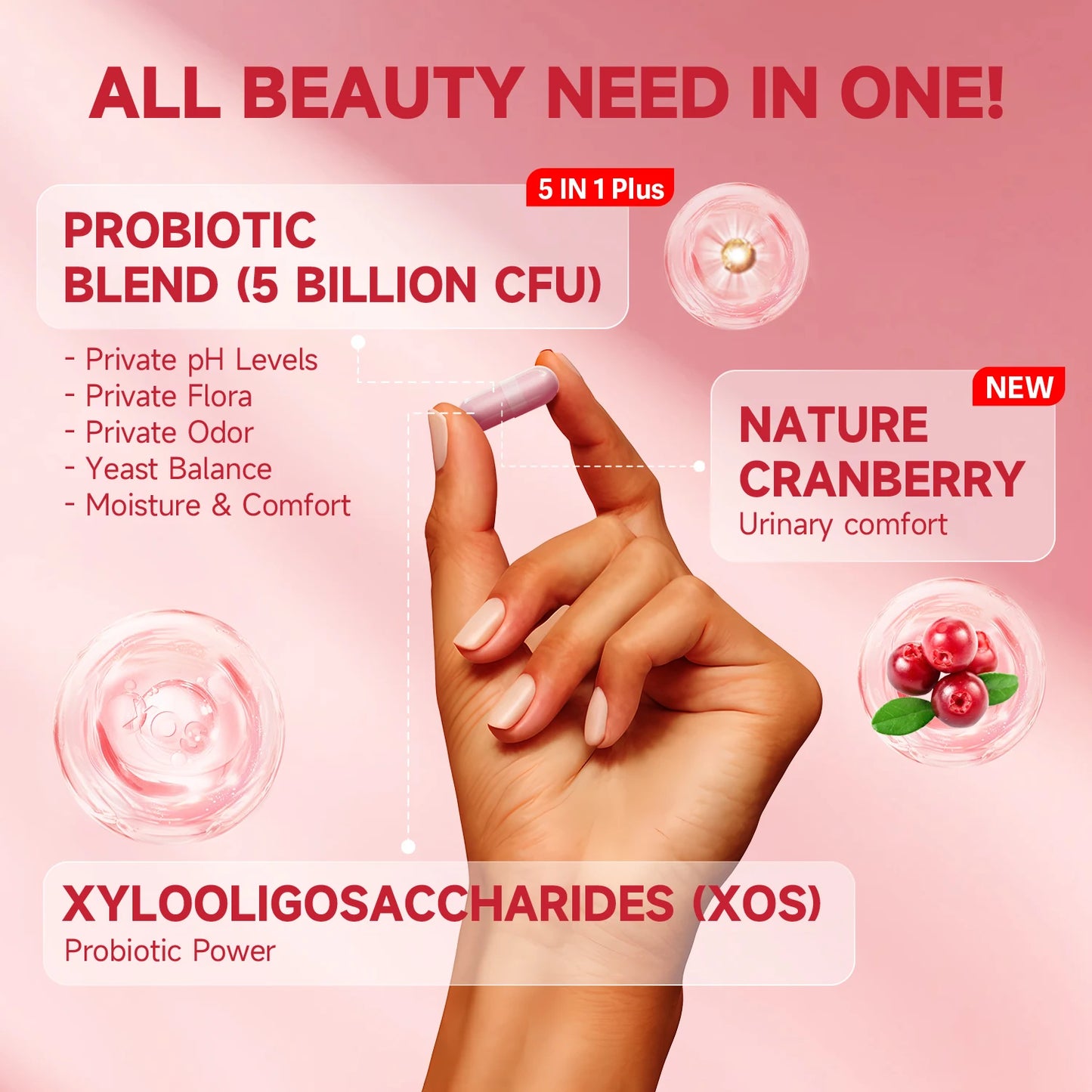 Women's PH Balance Probiotics | Powerful Lactobacillus Blend