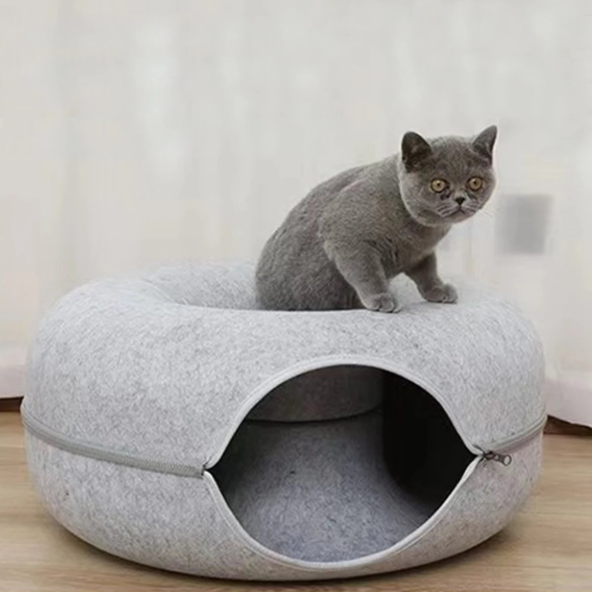 Interactive Round Cat Tunnel Bed | Cozy Felt Cat Toy for Kittens