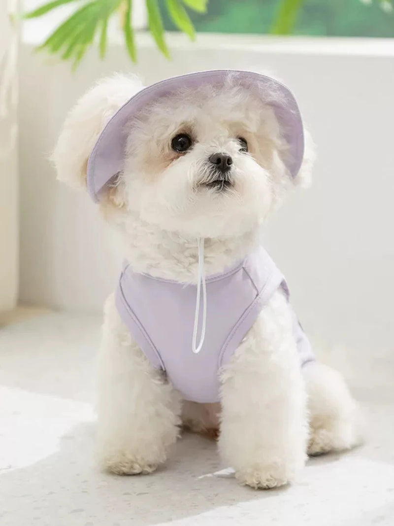 Lightweight Summer Cooling Vest for Dogs and Cats | Breathable Mesh Shirt
