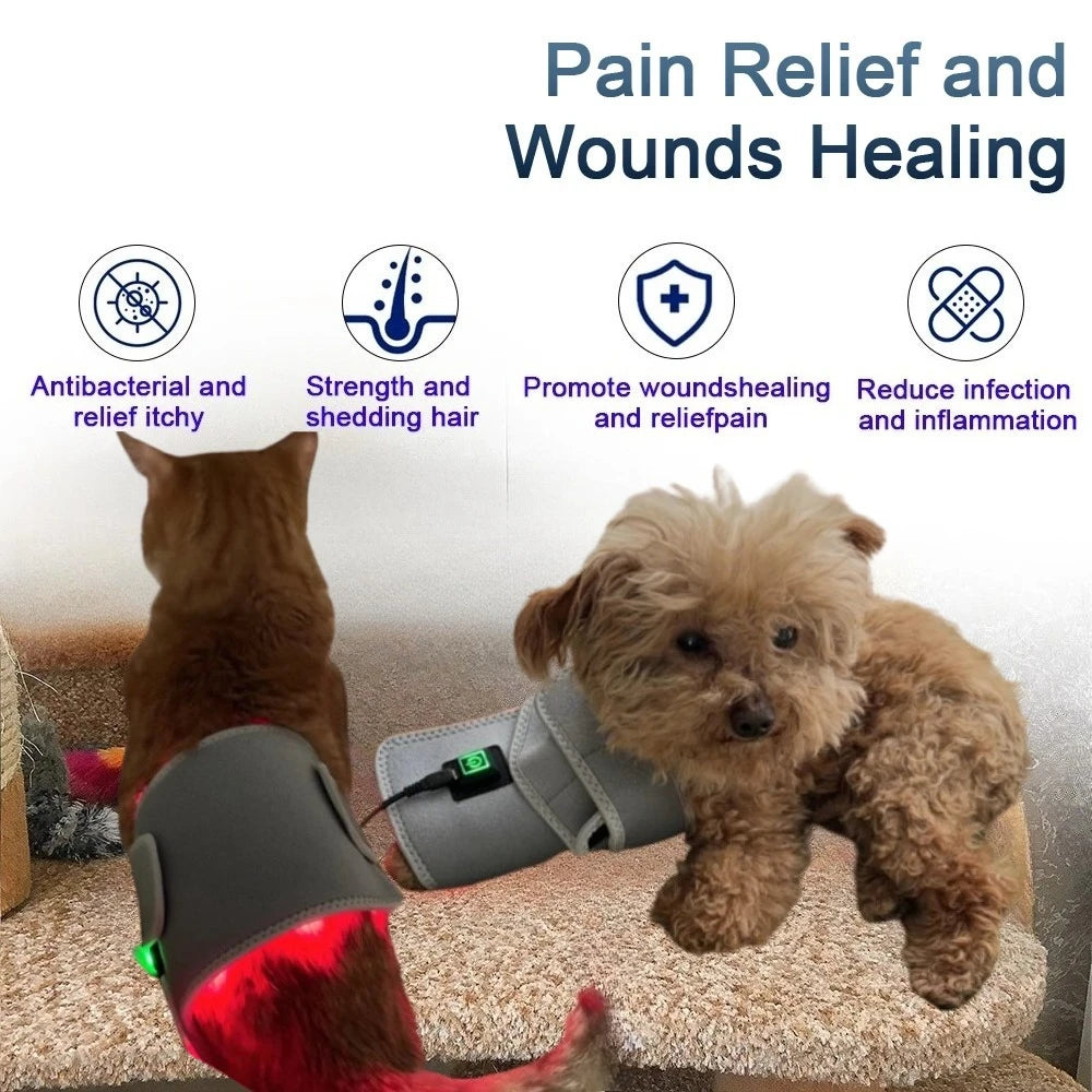 Handheld Laser Light Therapy Device for Pain Relief in Pets & Humans