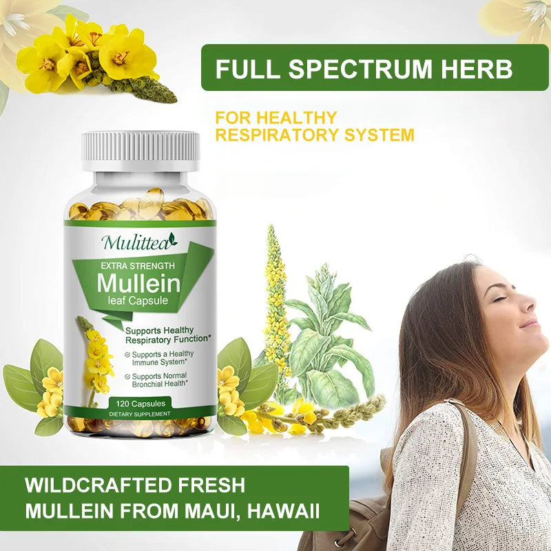 Natural Mullein Leaf Capsules | Herbal Supplement for Lung Health