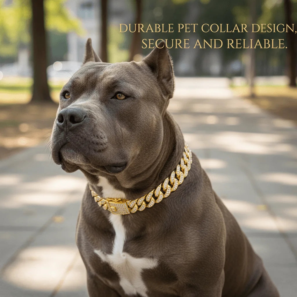 Luxury Hip Hop Dog Collar | Gold Tone Stainless Steel Pet Jewelry