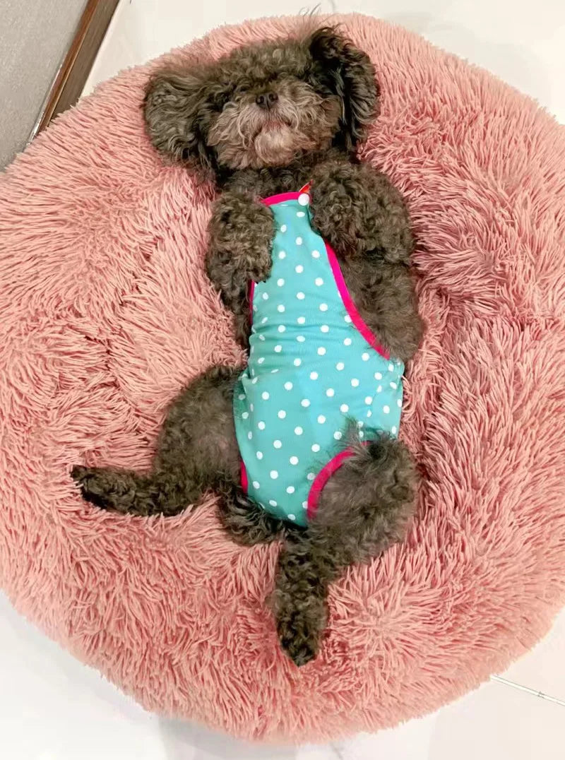 Denim Dog Shorts for Small & Medium Dogs | Stylish Pet Underwear