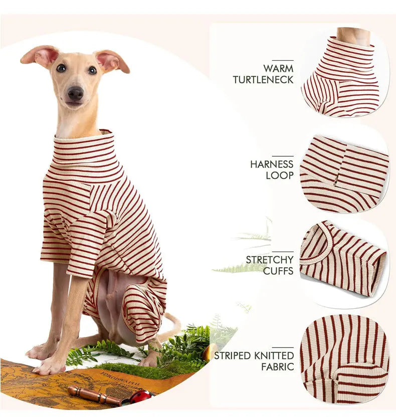 Four Legged Spring Pet Dog Jumpsuit | Comfortable Dog Apparel