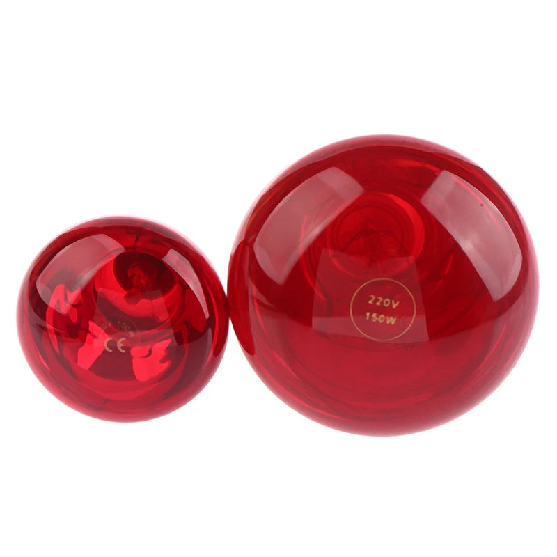 Infrared Physiotherapy Bulb for Pain Relief & Muscle Relaxation