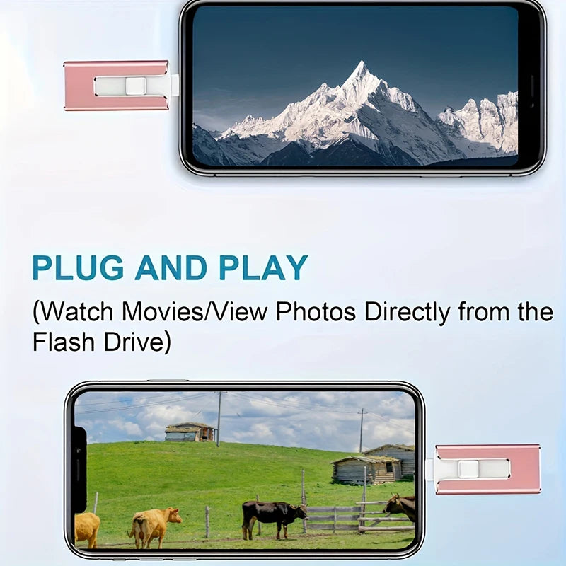 4in1 OTG Flash Drive 512GB | USB 3.0 & Type-C Memory Stick