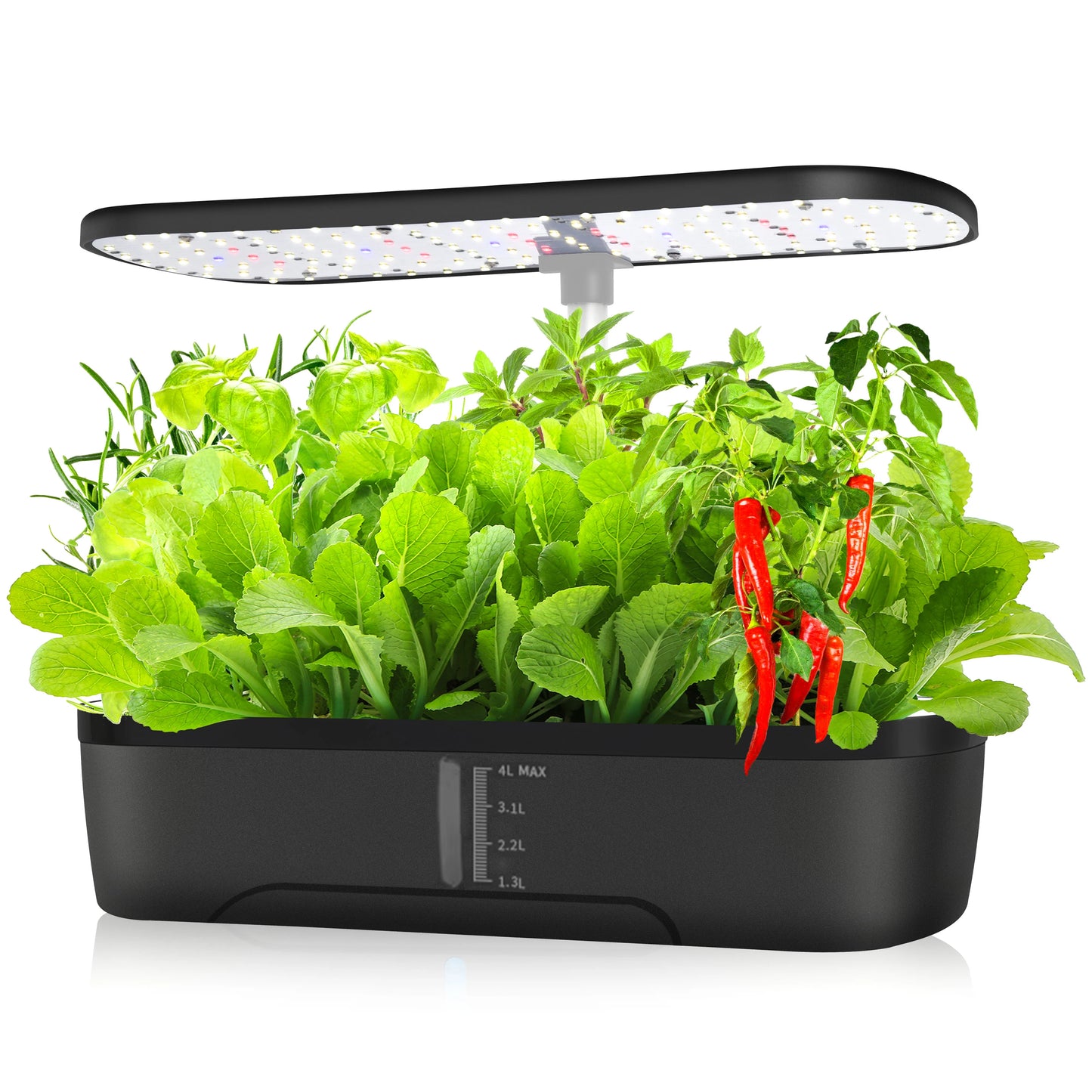 Indoor Hydroponics Growing System | 12 Pods Herb Garden Kit