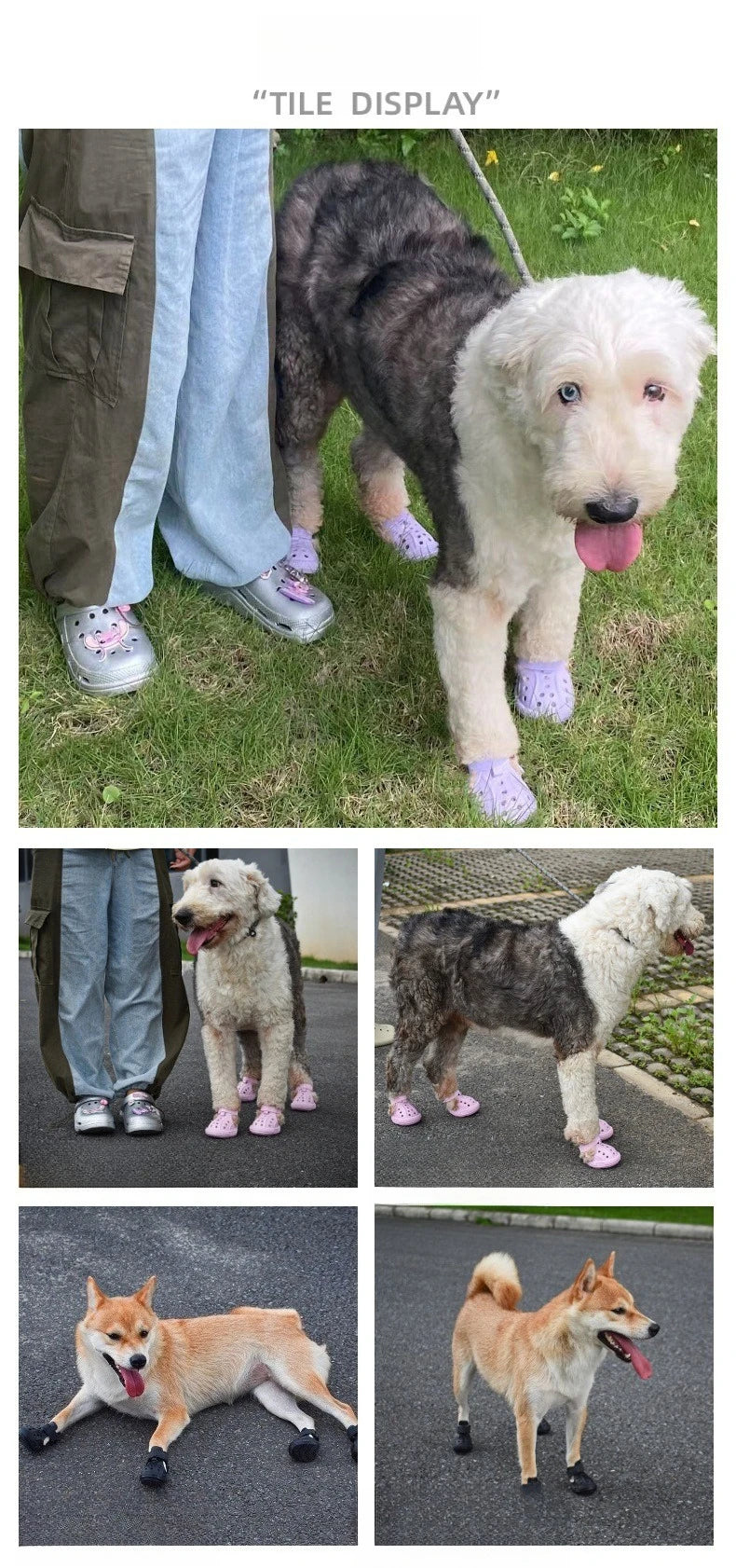 Breathable Non-Slip Dog Shoes | Summer Outdoor Pet Footwear