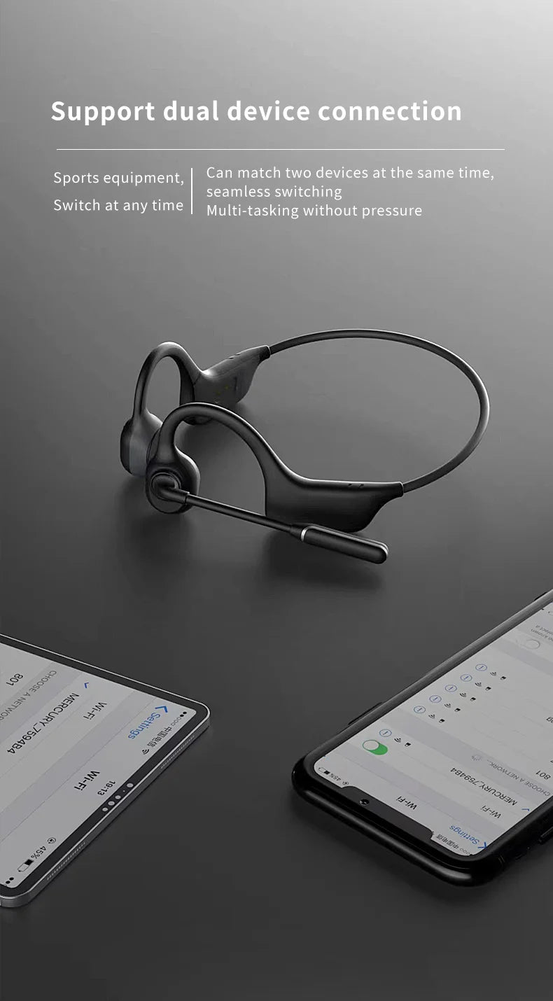 Professional Open Stereo Headphones with Noise Canceling Microphone