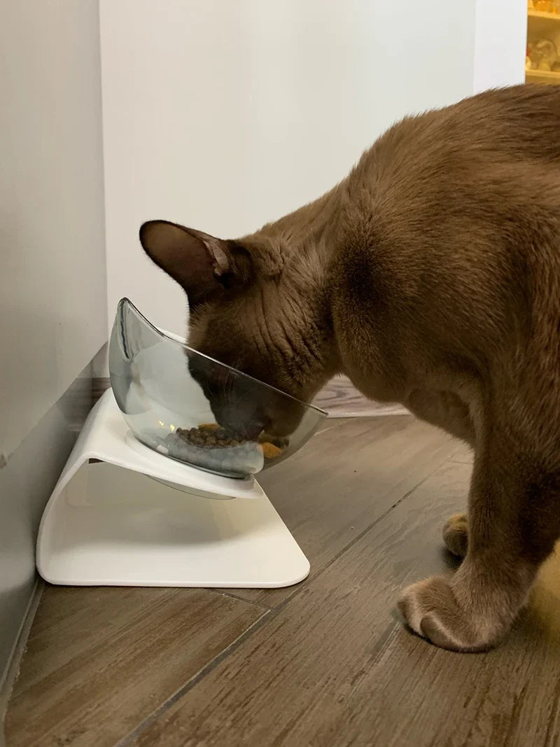 Non-Slip Double Pet Bowl with Stand | Ideal for Cats and Dogs