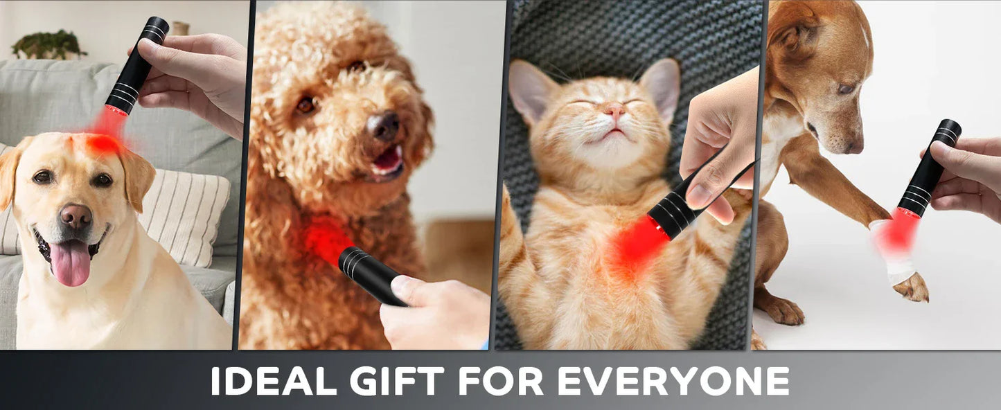 Red Light Therapy Lamp for Pain Relief | Portable LED Torch