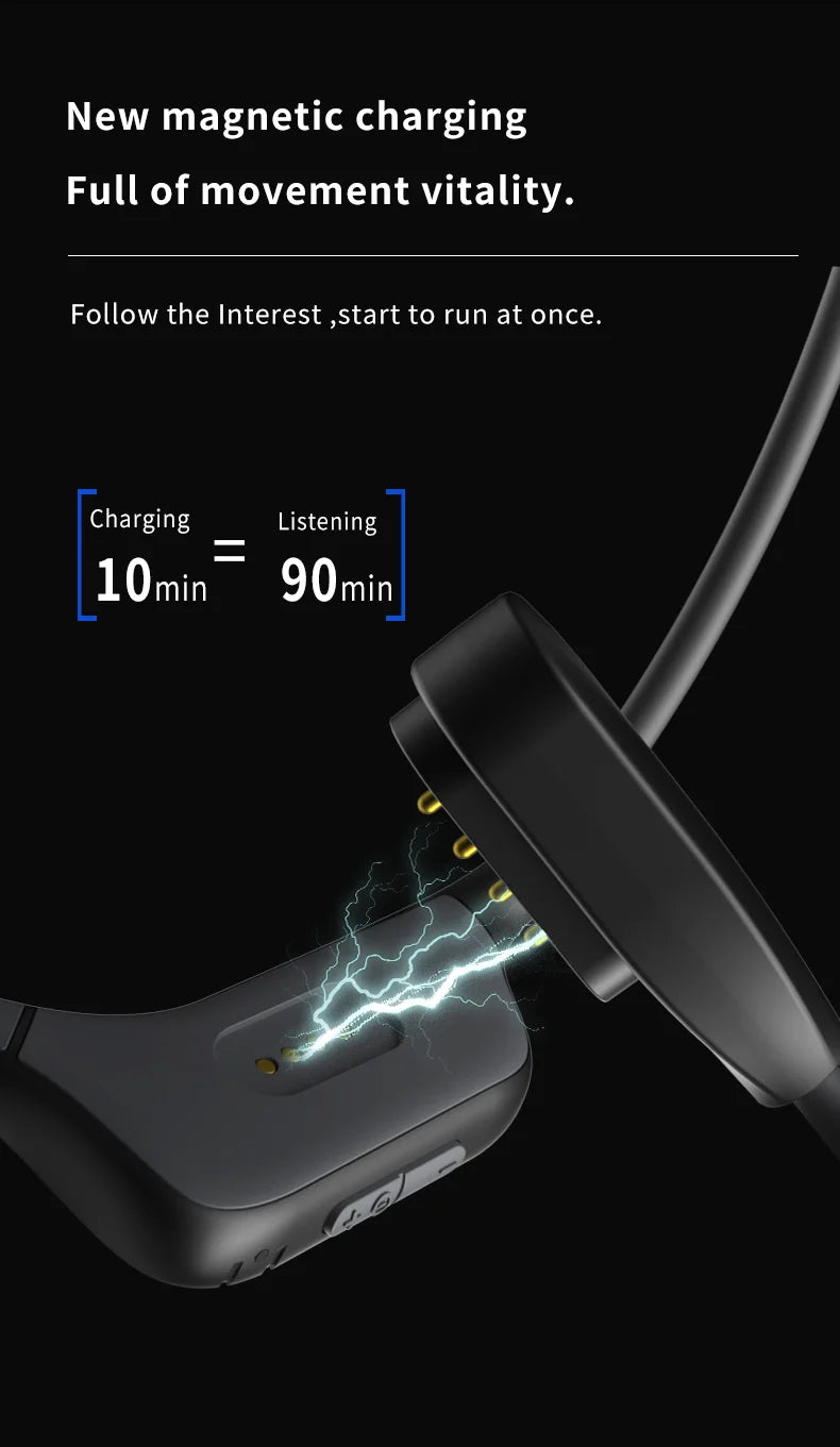 Professional Open Stereo Headphones with Noise Canceling Microphone
