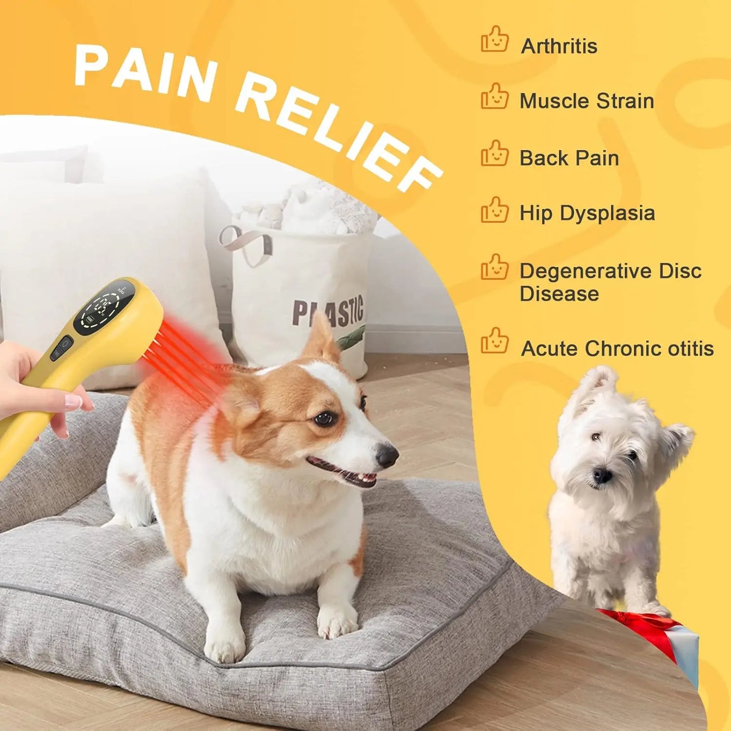 Handheld Cold Laser Therapy Device for Pets | Pain Relief Tool