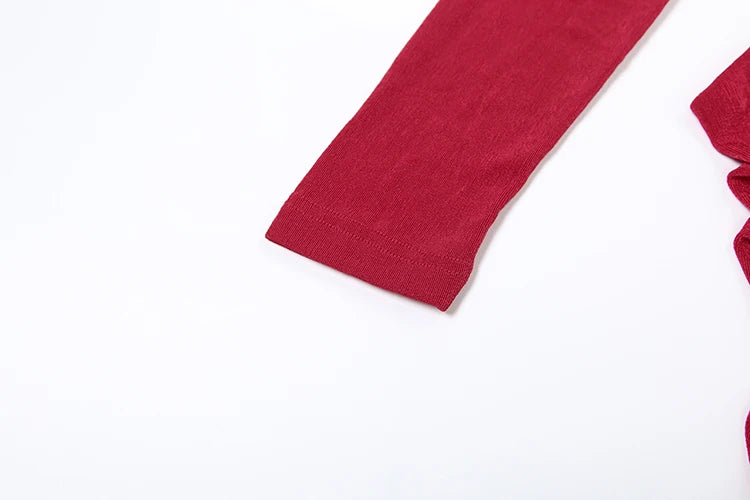 Elegant Autumn Maxi Dress | Turtleneck Full Sleeve Womens Dress
