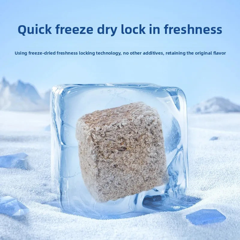 Freeze-Dried Blood Worms for Tropical Fish & Axolotls