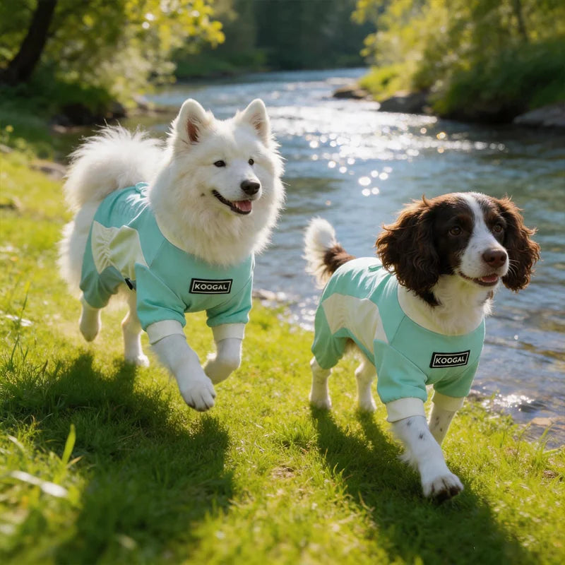 Summer Dog Cooling Clothes | Quick-Dry Pet Sun Protection Outfit