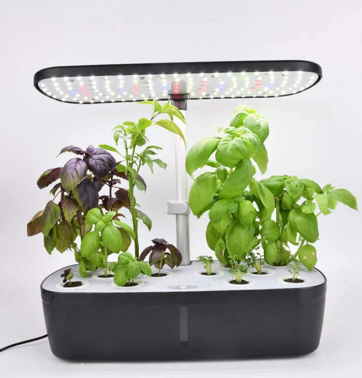 Smart Hydroponic Indoor Garden Kit | Grow Fresh Herbs & Veggies