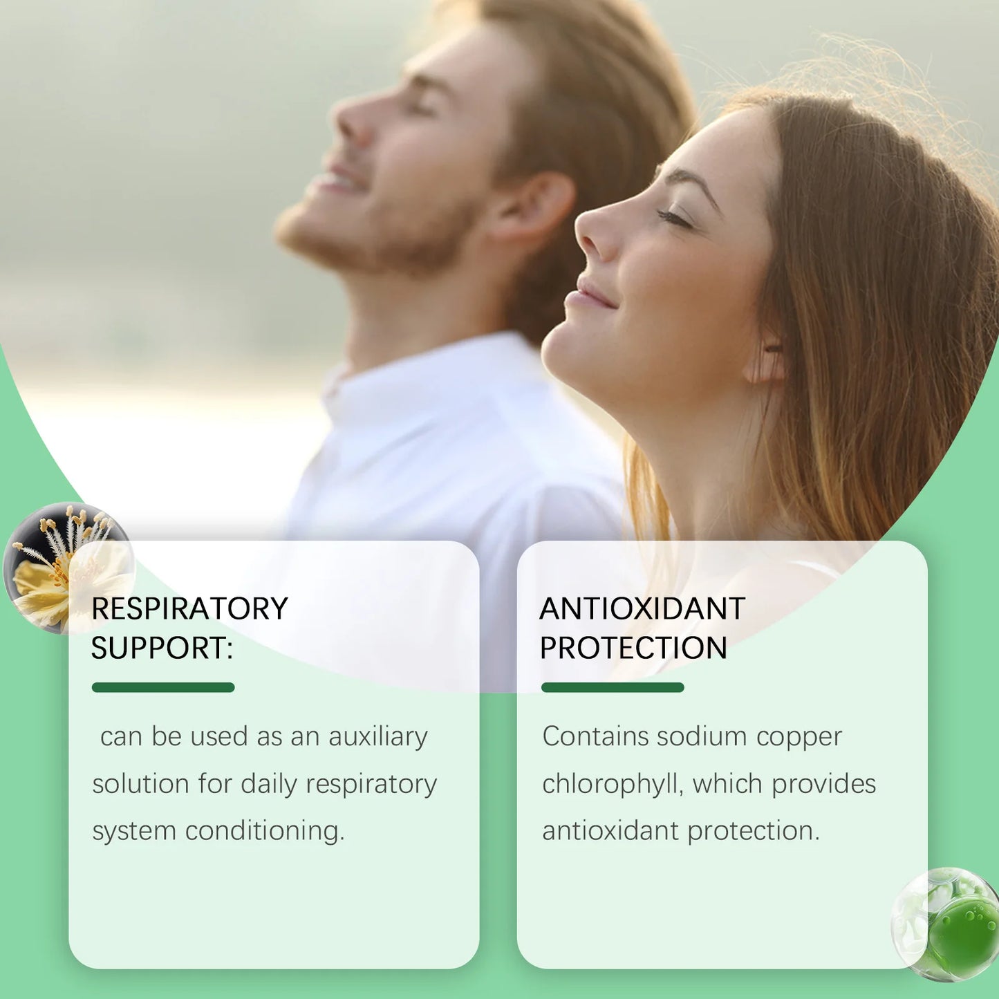 Herbal Mullein & Chlorophyll Drops for Respiratory Support