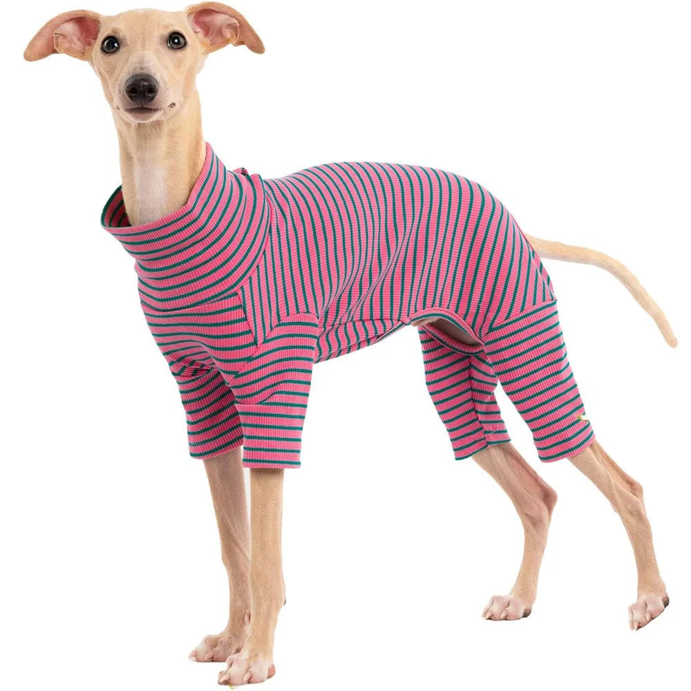 Four Legged Spring Pet Dog Jumpsuit | Comfortable Dog Apparel