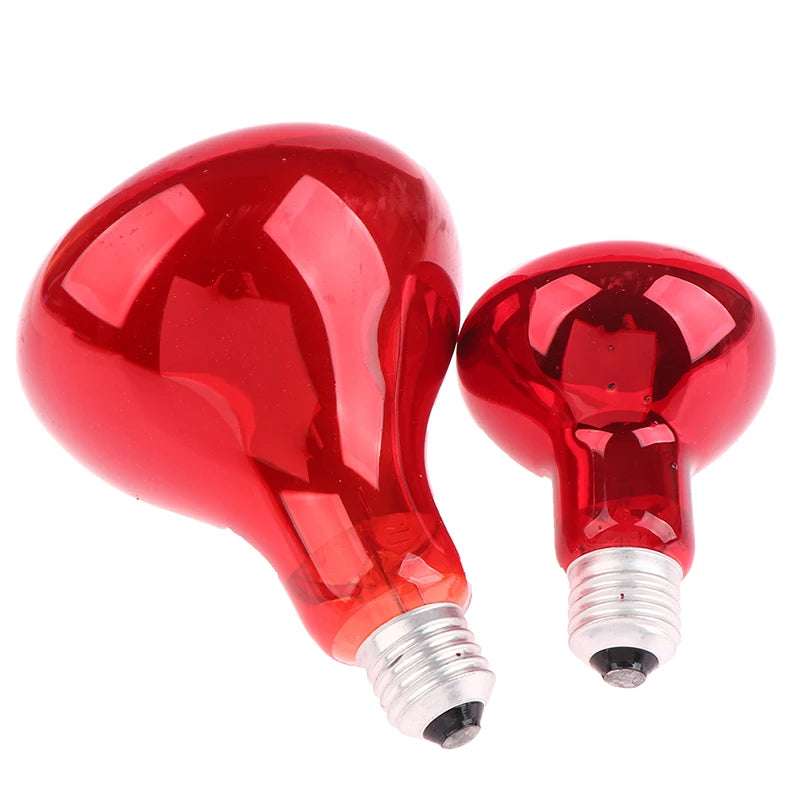 Infrared Physiotherapy Bulb for Pain Relief & Muscle Relaxation