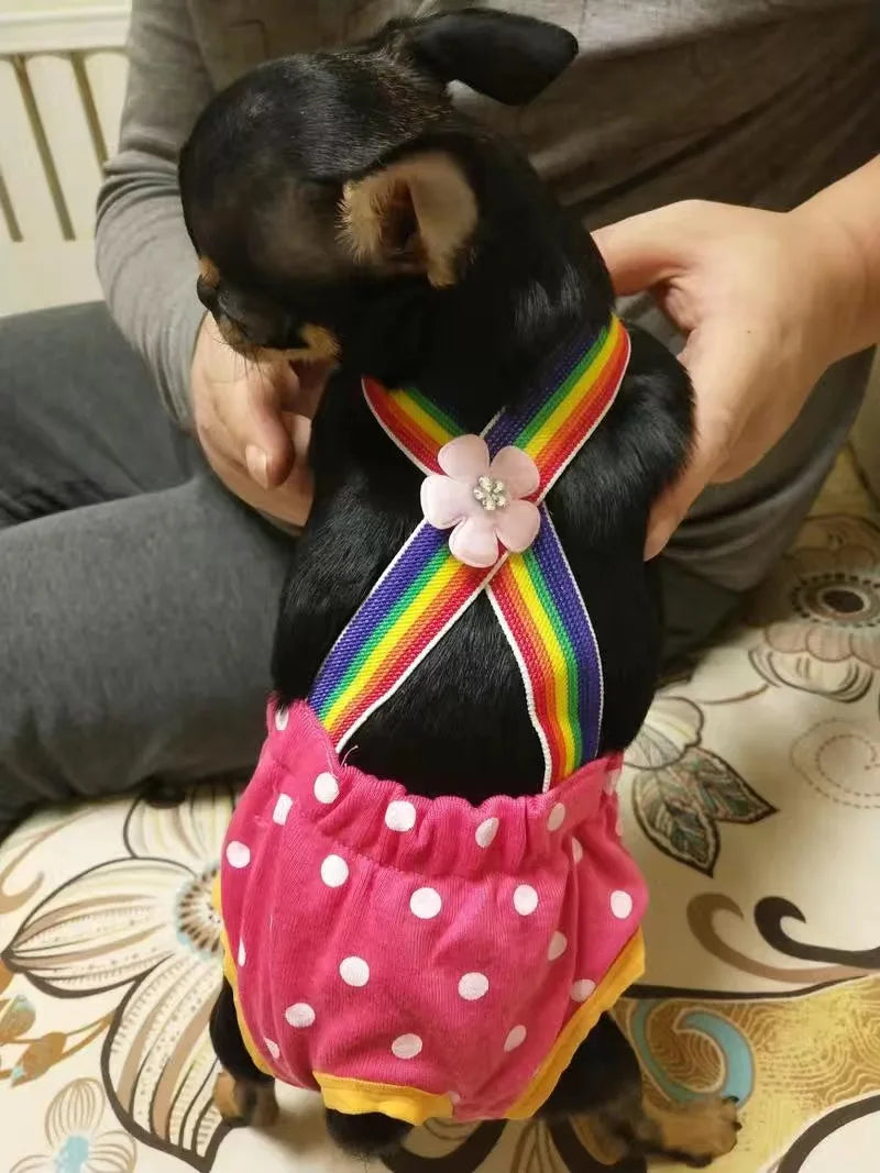 Denim Dog Shorts for Small & Medium Dogs | Stylish Pet Underwear