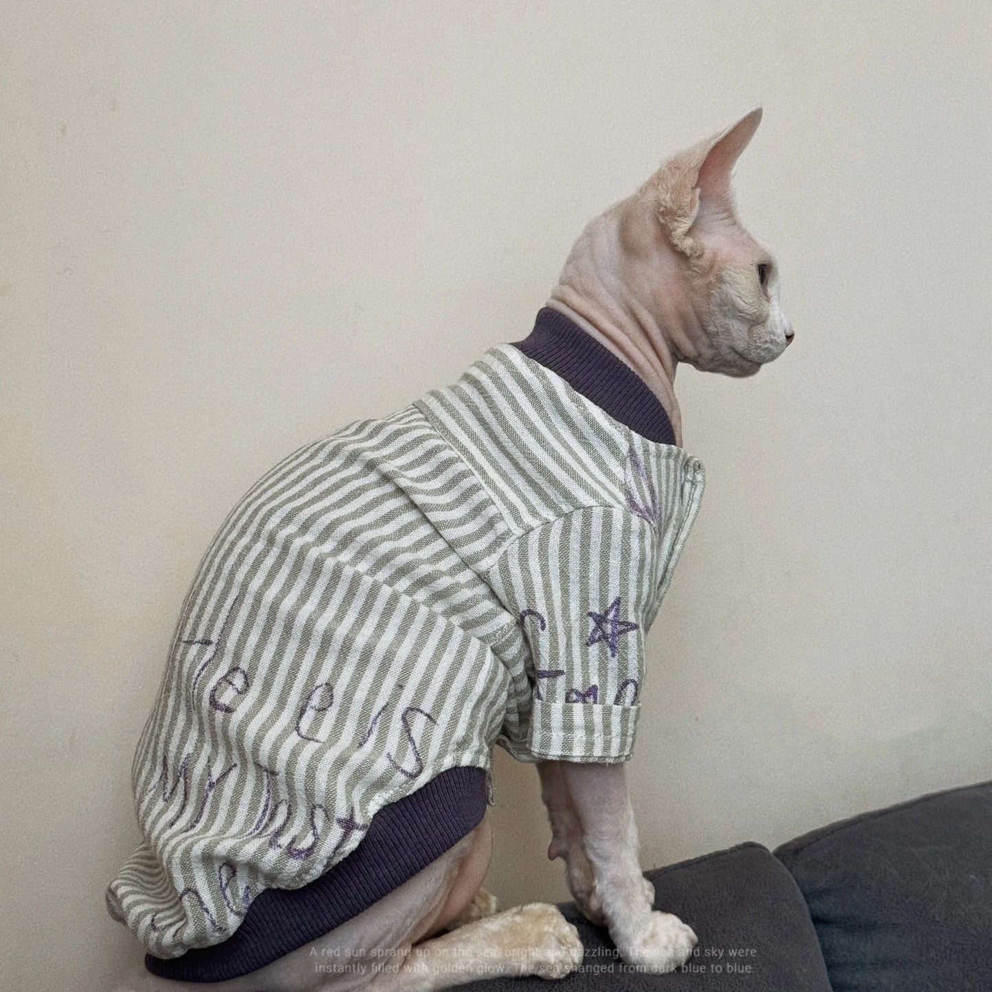 Stylish Cotton Baseball Jacket for Sphynx Cats and Kittens
