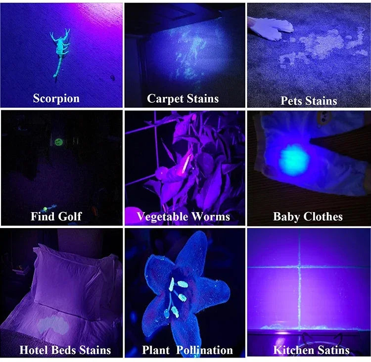100 LED UV Flashlight | Powerful Ultraviolet Detection Torch
