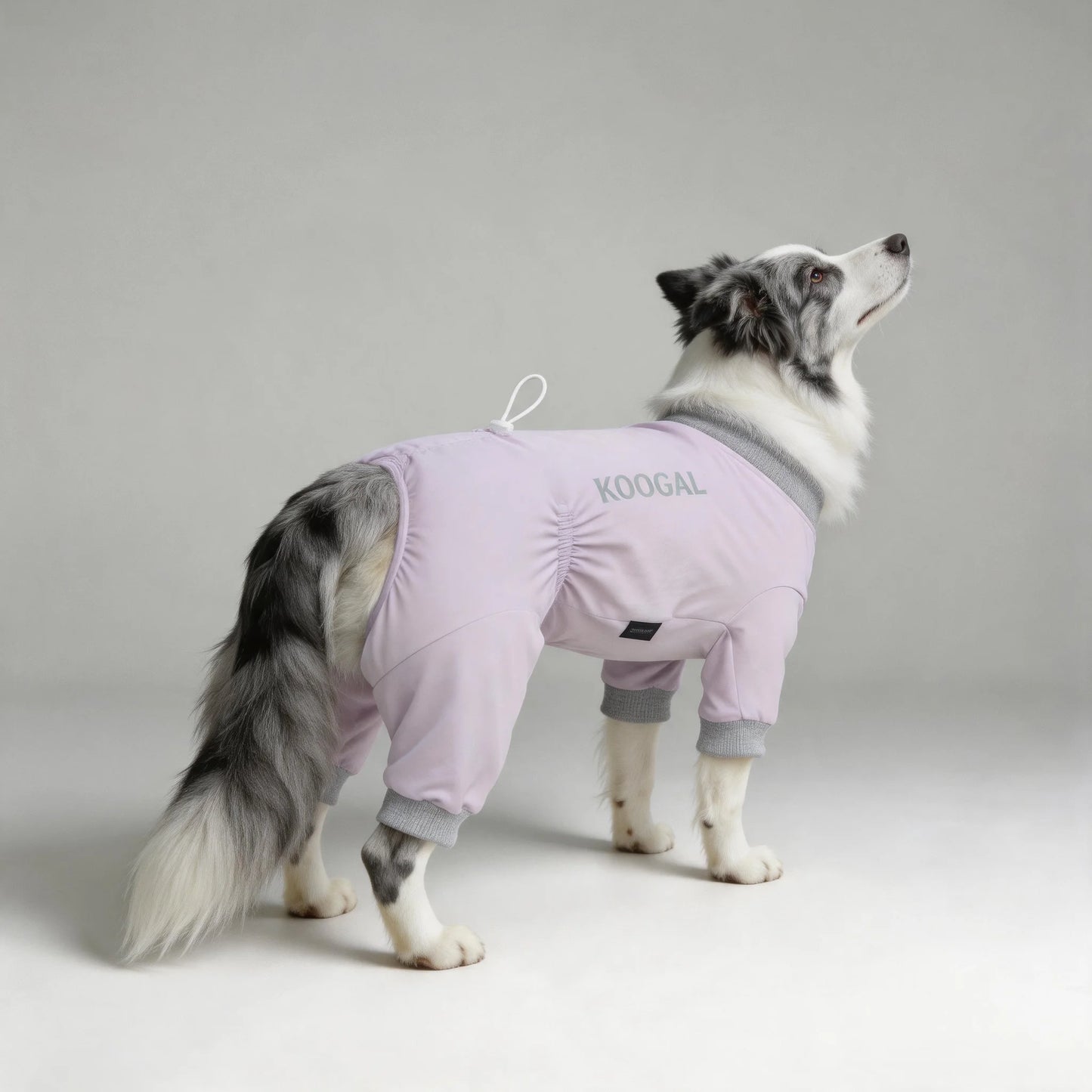 Lightweight Summer Dog Pyjamas | Comfortable Dog Onesie for All Sizes