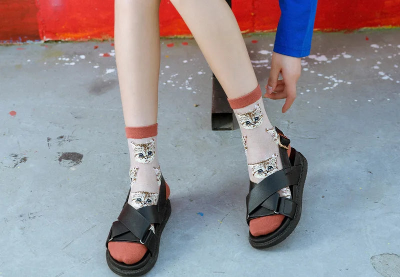 Trendy Women’s Transparent Cat Socks | Cute Kawaii Summer Fashion