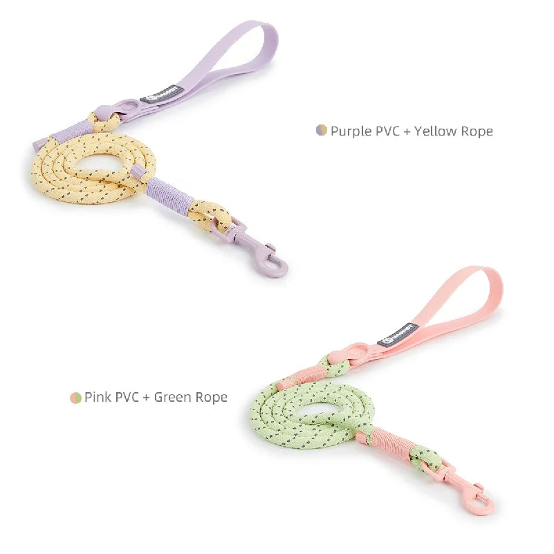 Cute Sugar Color Dog Collar and Leash Set for Small to Medium Dogs