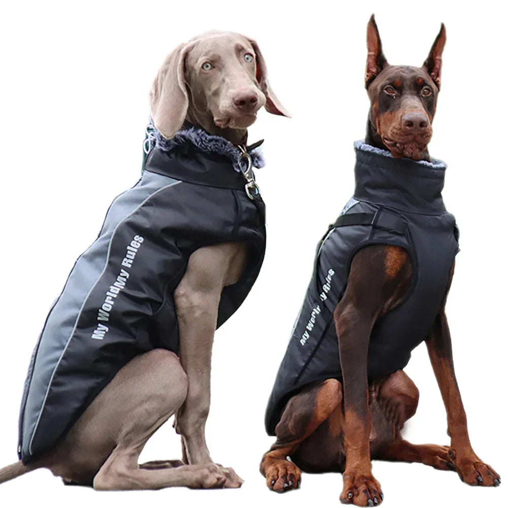 Chaqueta Gruesa para Perro con Cuello de Piel | Ropa de Invierno para Mascotas