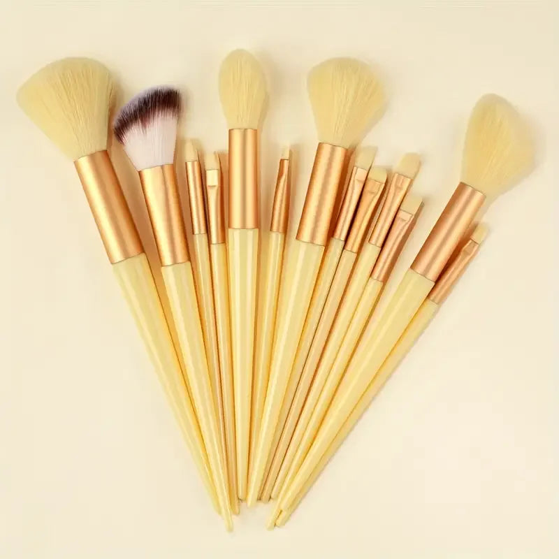 13pcs Professional Makeup Brush Set | Flawless Application Tools