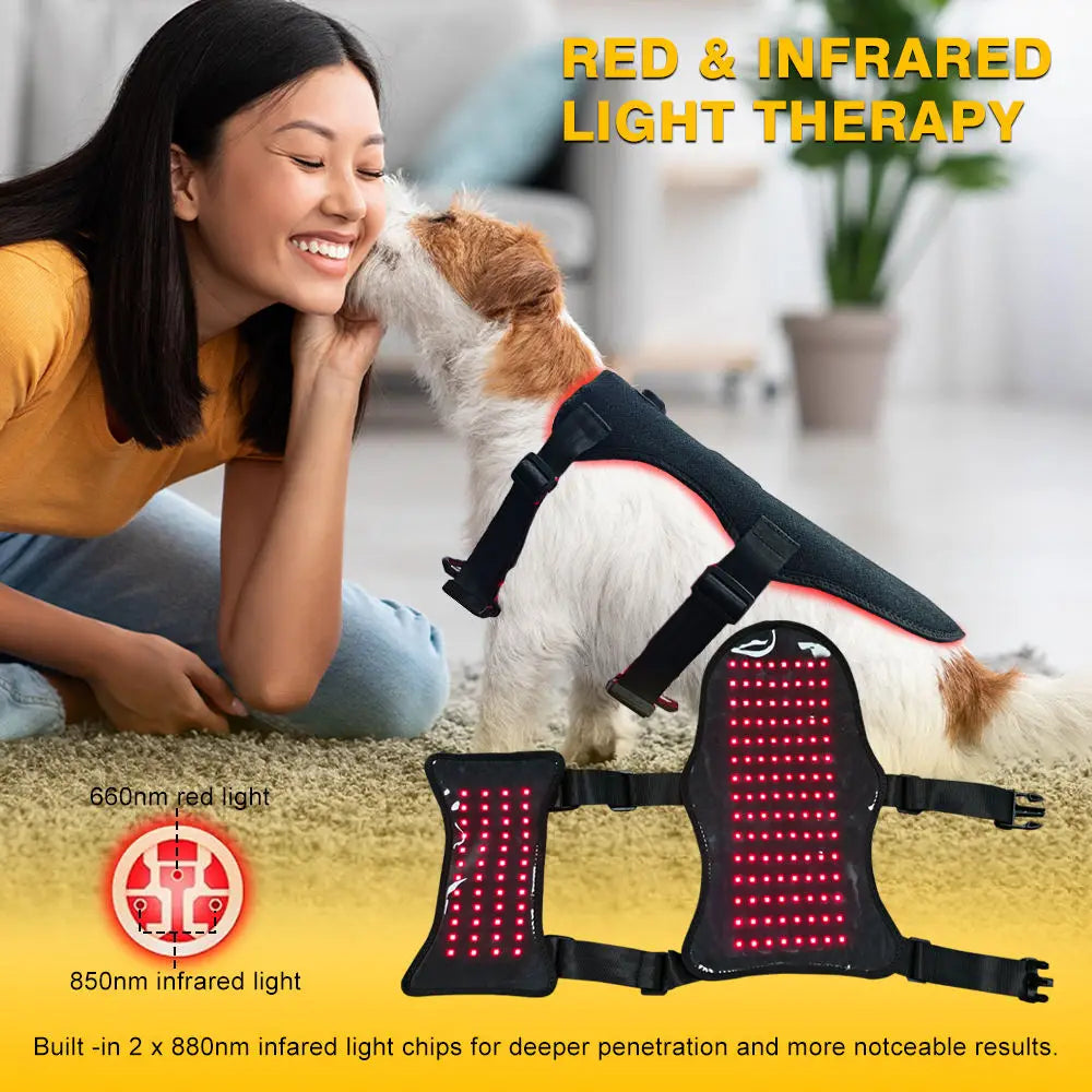 Red Light Therapy Belt for Pets | Pain Relief for Dogs & Cats