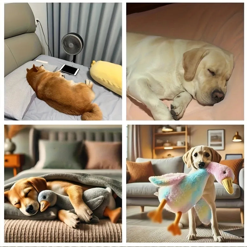 Colorful Soft Duck Plush Toy for Pets | Anxiety-Relieving Buddy