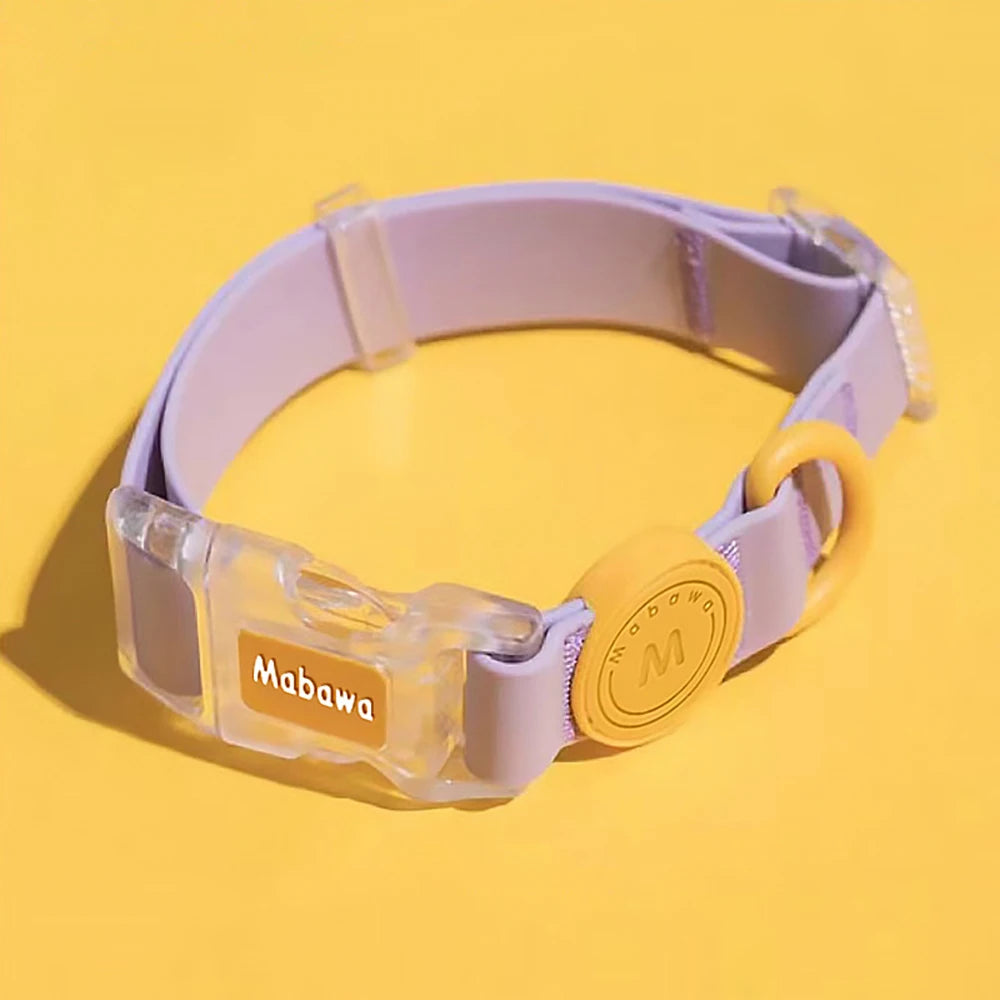 Trendy Transparent Buckle Pet Collar | Perfect for Small Dogs & Cats