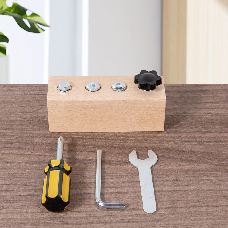 Kids Wooden Screw Nut Disassembly Toy | Montessori Learning
