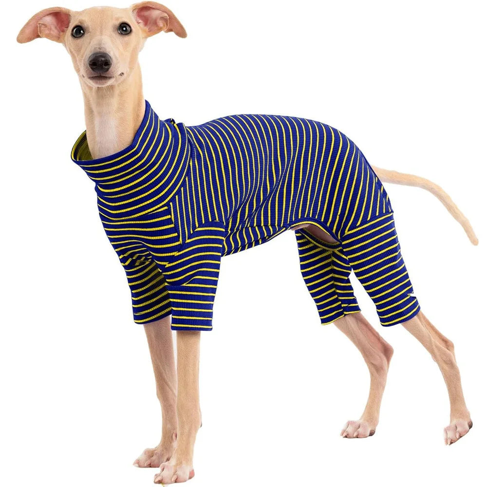 Four Legged Spring Pet Dog Jumpsuit | Comfortable Dog Apparel