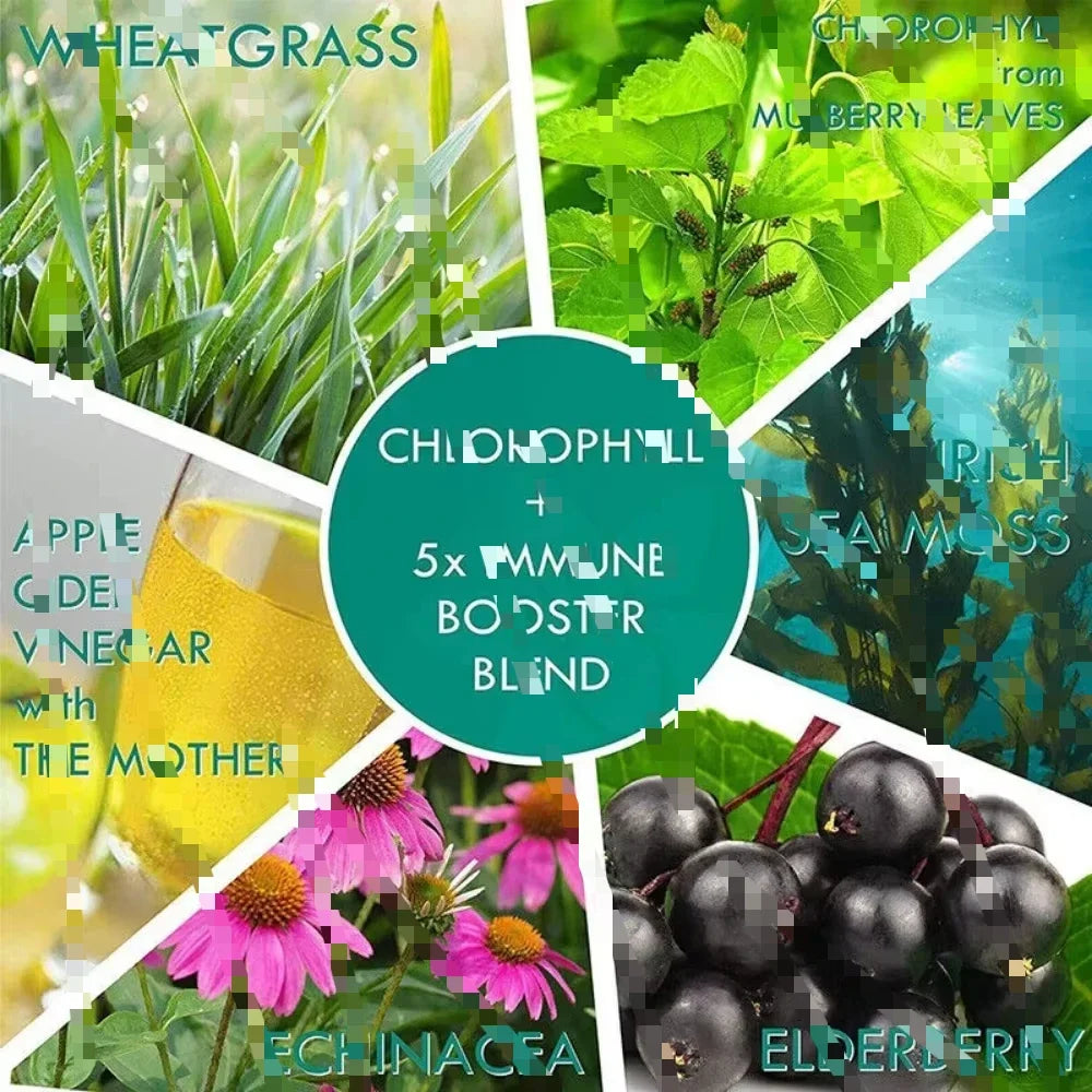 Sugar Free Chlorophyll Gummies with Unfiltered ACV - Health Boost