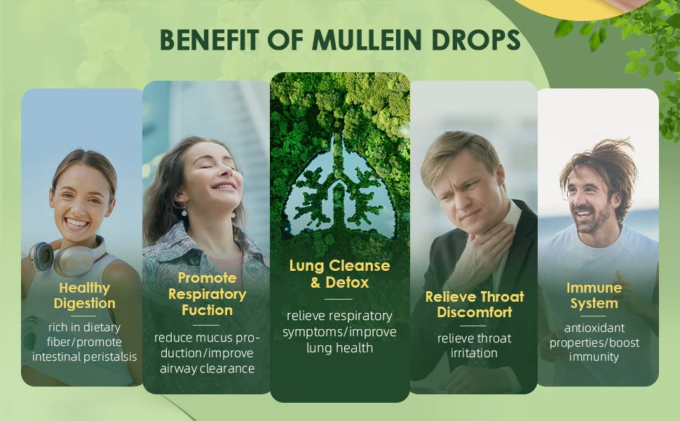 Natural Mullein Leaf Extract Drops | Cleanse & Support Lung Health